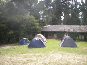 Camping-Tomine