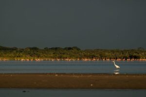 Atardecer en Camarones con Flamencos Rosados