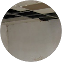 vperafan profile picture