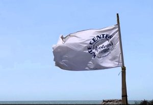 Mayapo wind conditions